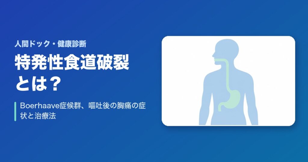 特発性食道破裂（Boerhaave症候群）とは？嘔吐後の胸痛の症状と治療法