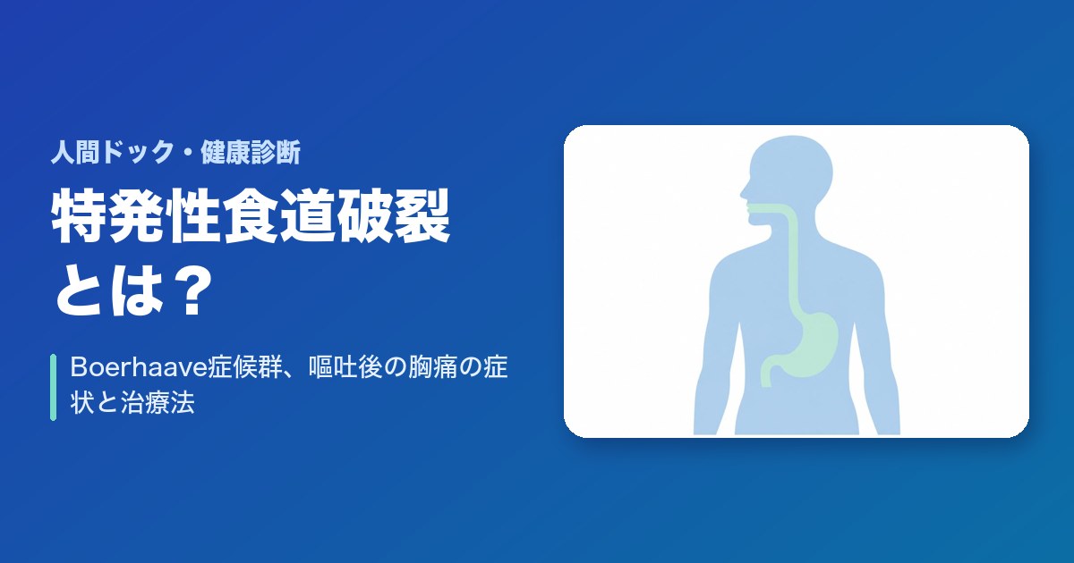 特発性食道破裂(Boerhaave症候群)とは?嘔吐後の胸痛の症状と治療法