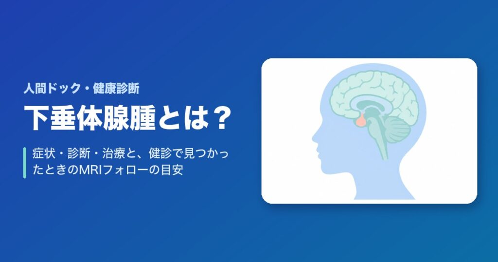 下垂体腺腫とは?症状・診断・治療と、健診で見つかったときのMRIフォローの目安