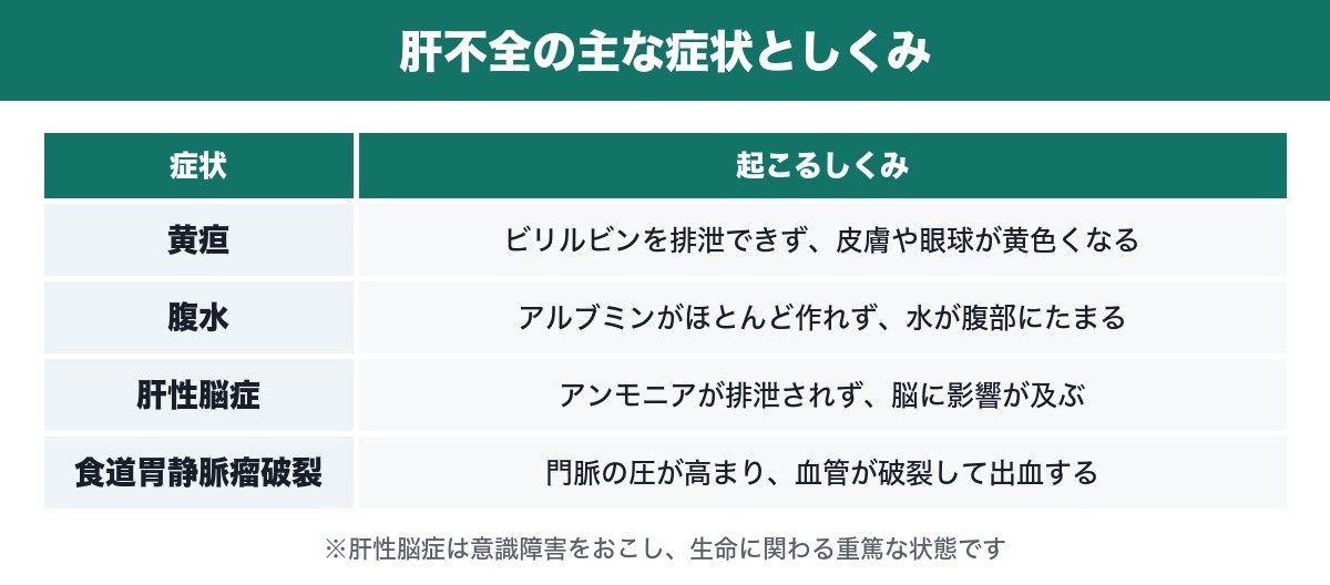 肝不全の主な症状としくみの表