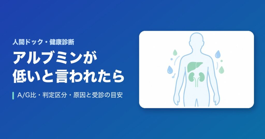 健康診断でアルブミン・A/G比が低い(高い)と言われたら?基準値・判定区分・原因と受診の目安