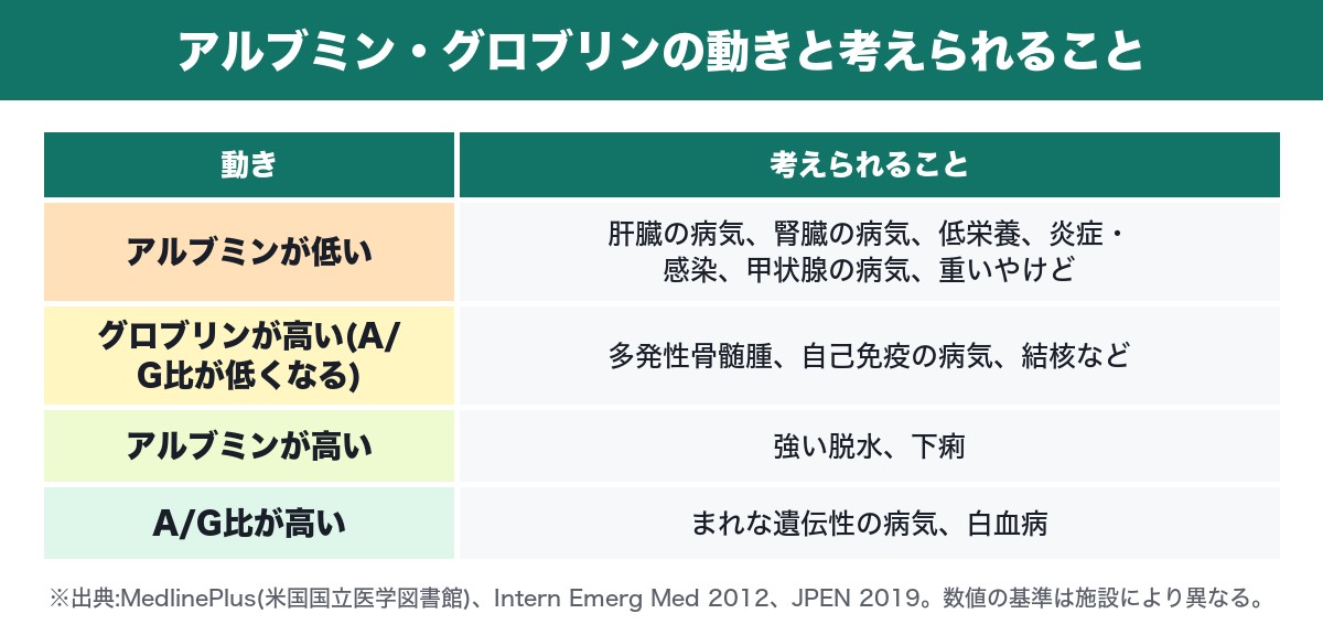 アルブミン・グロブリン・A/G比の動きと考えられること