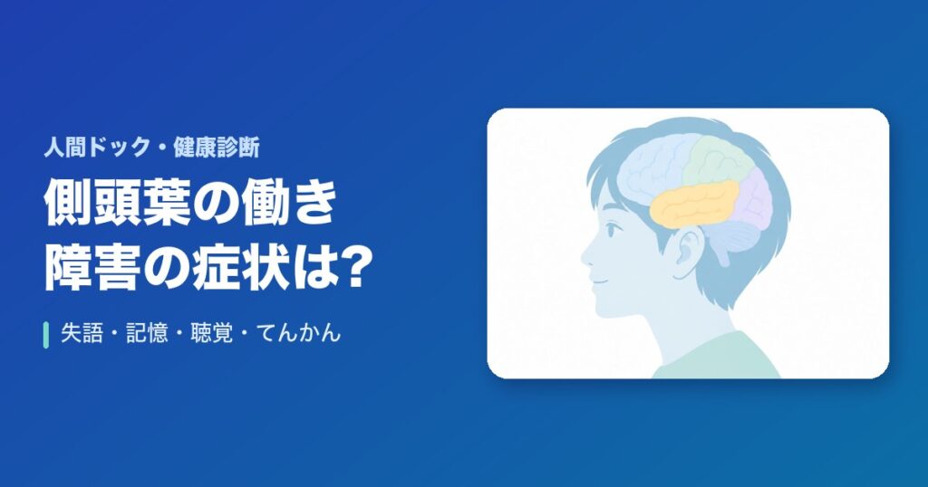 側頭葉の働きは?障害されると起こる症状(失語・聴覚の障害・記憶障害・てんかん)