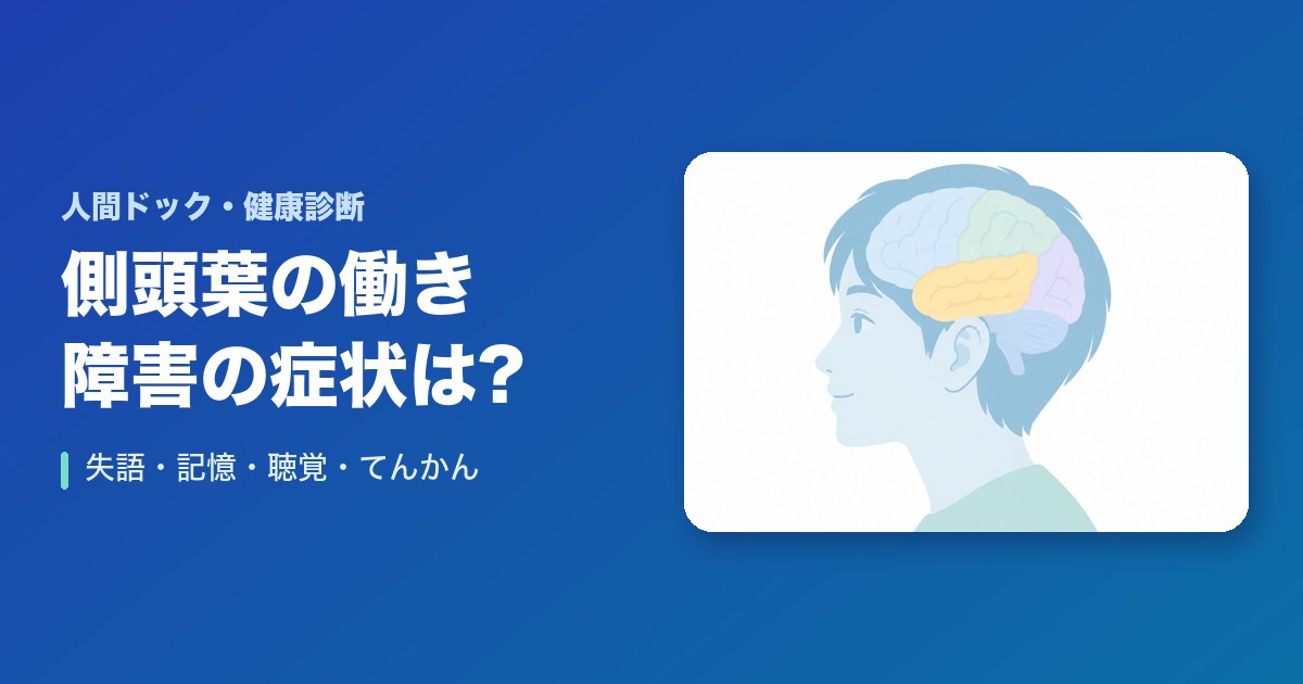 側頭葉の働きは?障害されると起こる症状(失語・聴覚の障害・記憶障害・てんかん)