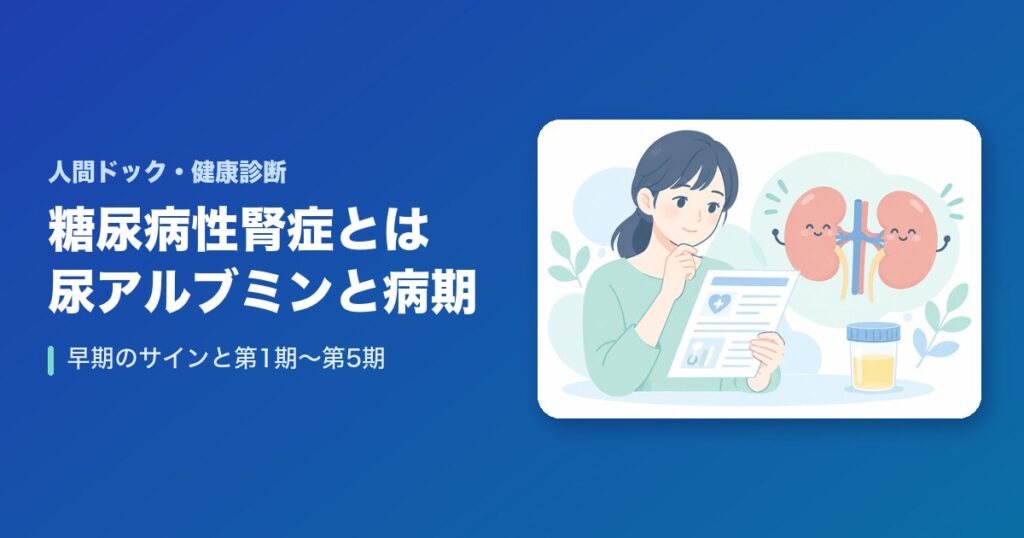 糖尿病性腎症とは?尿アルブミンでわかる早期のサインと病期(第1期〜第5期)