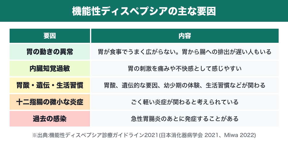 機能性ディスペプシアに関わる主な要因