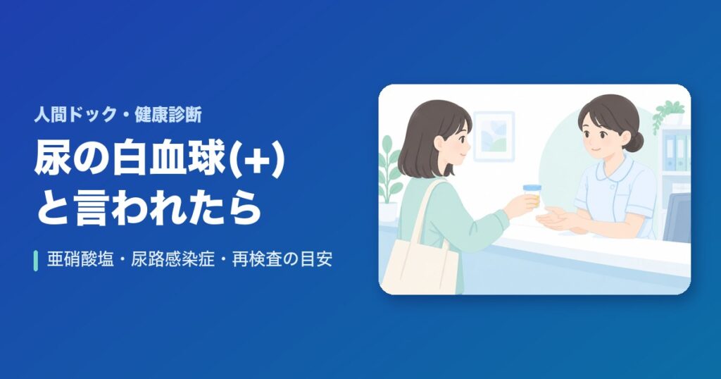 健康診断の尿検査で白血球(+)と言われたら?亜硝酸塩との見方・尿路感染症・再検査と受診の目安