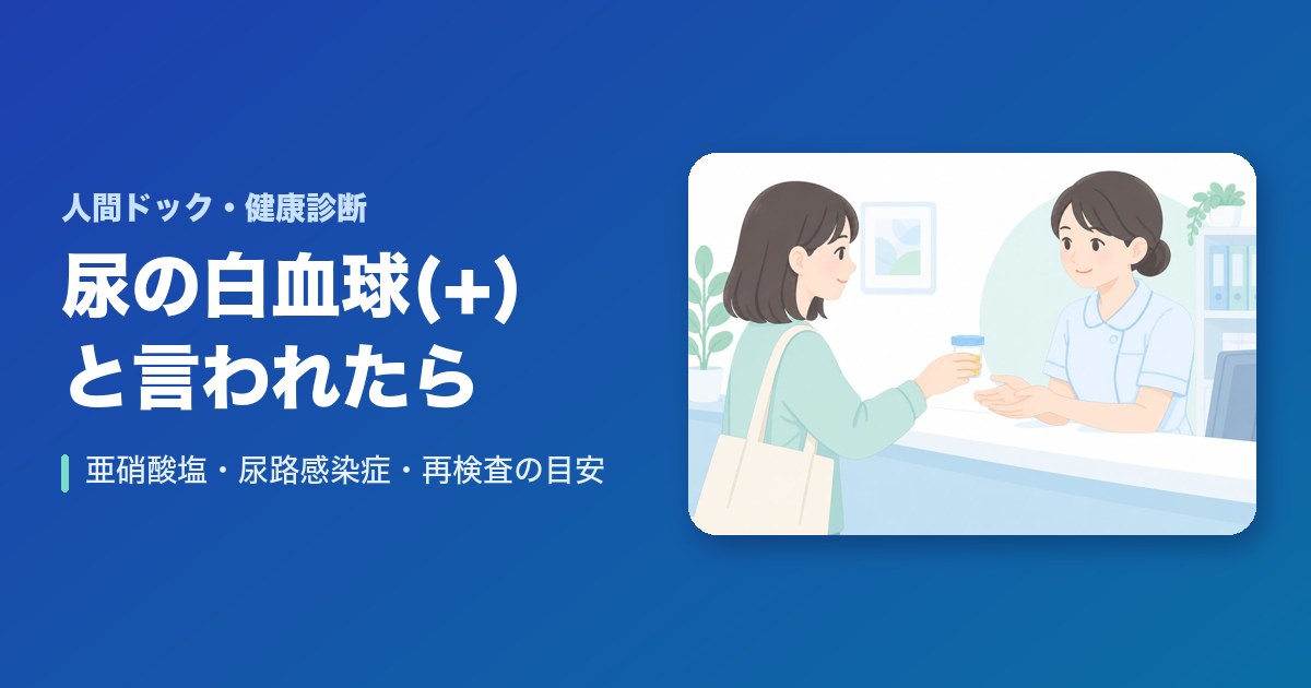 健康診断の尿検査で白血球(+)と言われたら?亜硝酸塩との見方・尿路感染症・再検査と受診の目安