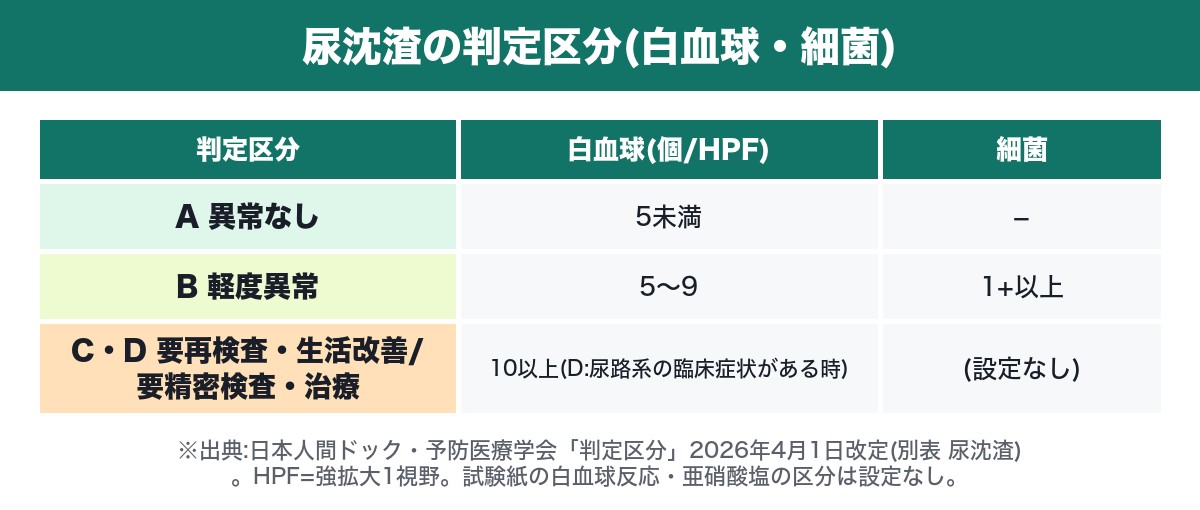 尿沈渣の白血球・細菌の判定区分(日本人間ドック・予防医療学会 2026年4月1日改定)