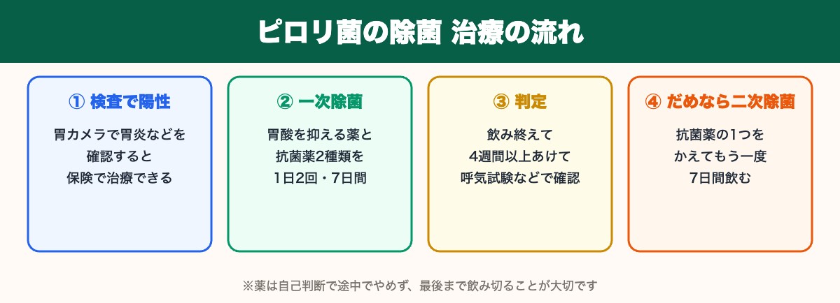 ピロリ菌の除菌治療の流れ(検査で陽性→一次除菌7日間→4週間以上あけて判定→二次除菌)