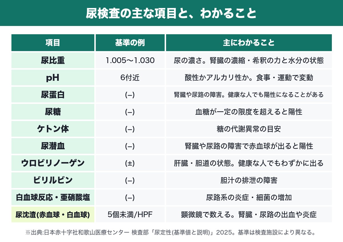尿検査の主な項目、基準の例、わかること(日本赤十字社和歌山医療センター検査部の例)