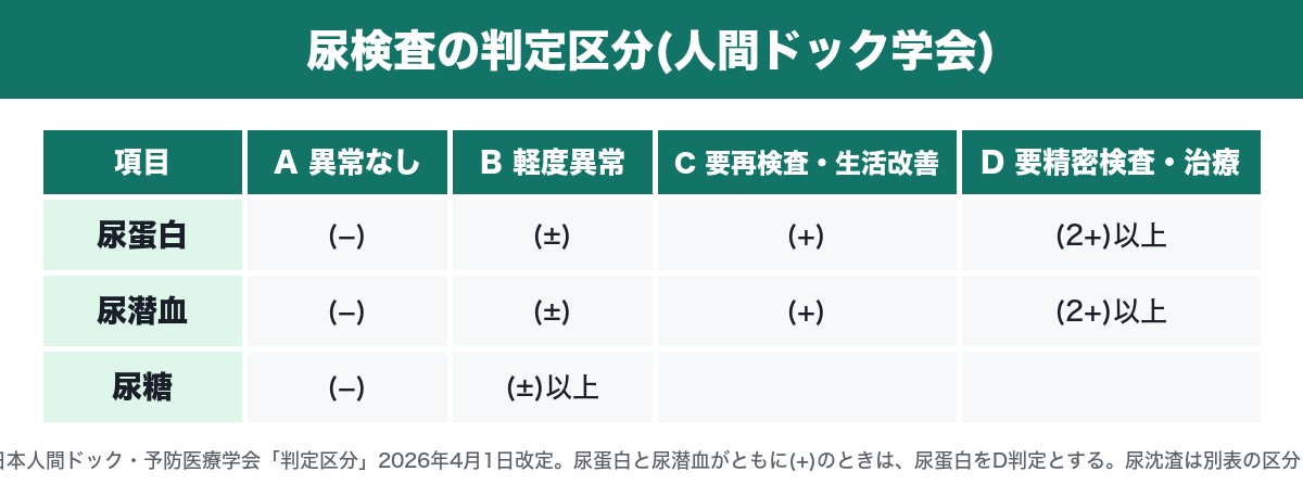 尿検査の判定区分(尿蛋白・尿潜血・尿糖、日本人間ドック・予防医療学会 2026年4月1日改定)