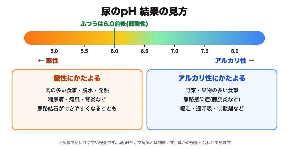 尿のpHの見方(ふつうは6.0前後の弱酸性。酸性・アルカリ性にかたよる主な原因)