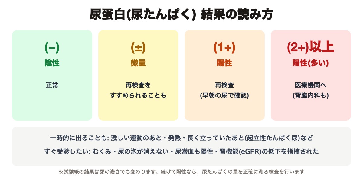 尿蛋白の(−)(±)(1+)(2+)の読み方と、一時的に出る場合・すぐ受診したい場合